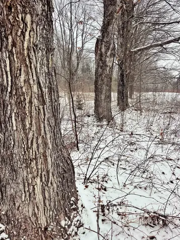 1275 Chesley Hill Road Wheelock VT 05851