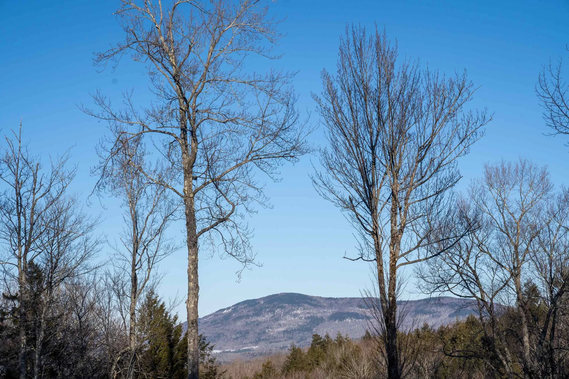 12 Jamie Lane Winhall VT 05340