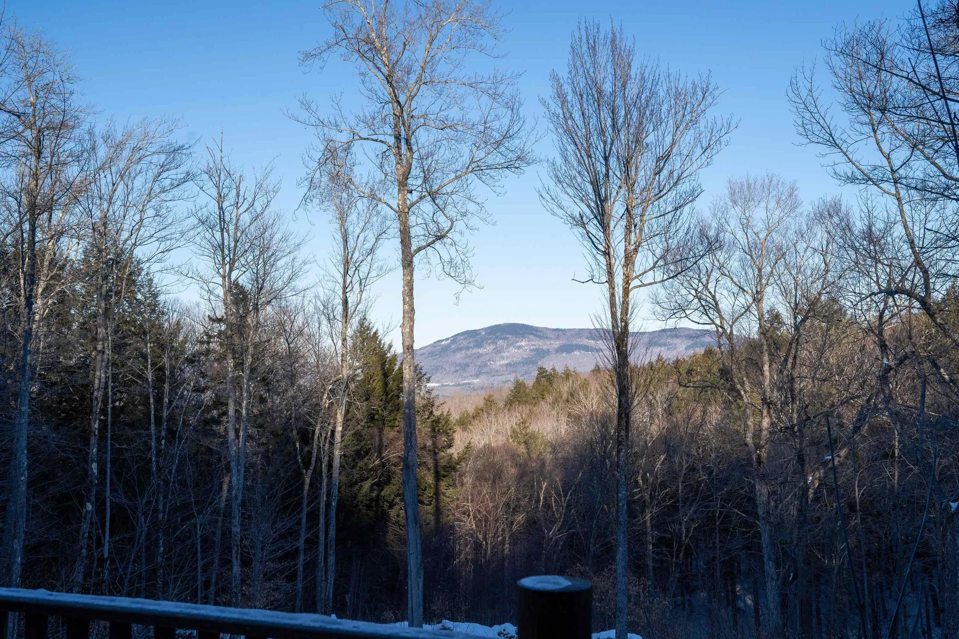 12 Jamie Lane Winhall VT 05340