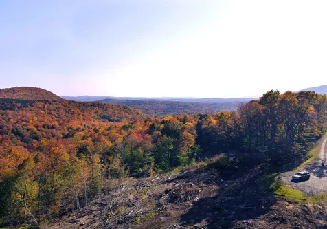 Lot 10 & 16 Overlook Drive Dover VT 05356