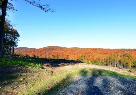 Lot 10 & 16 Overlook Drive Dover VT 05356