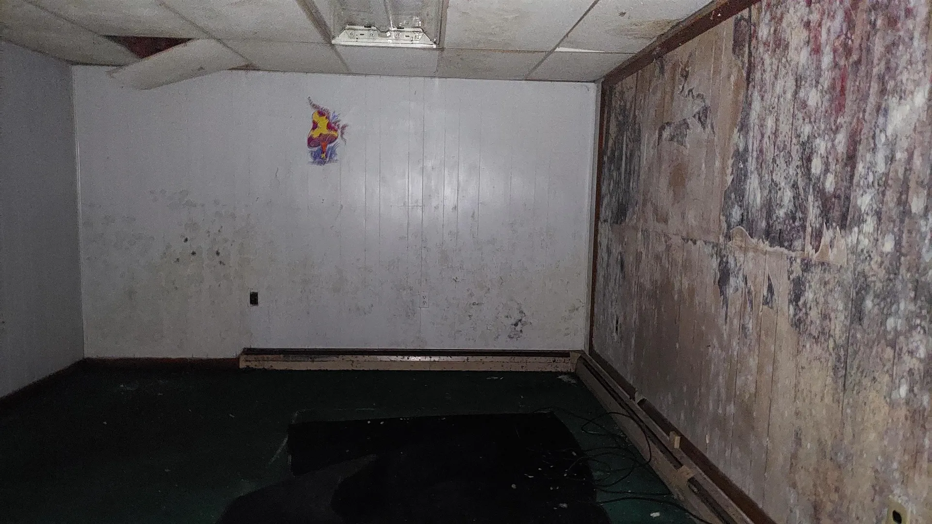 14 Pace Road Pownal VT 05201