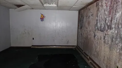 14 Pace Road Pownal VT 05201