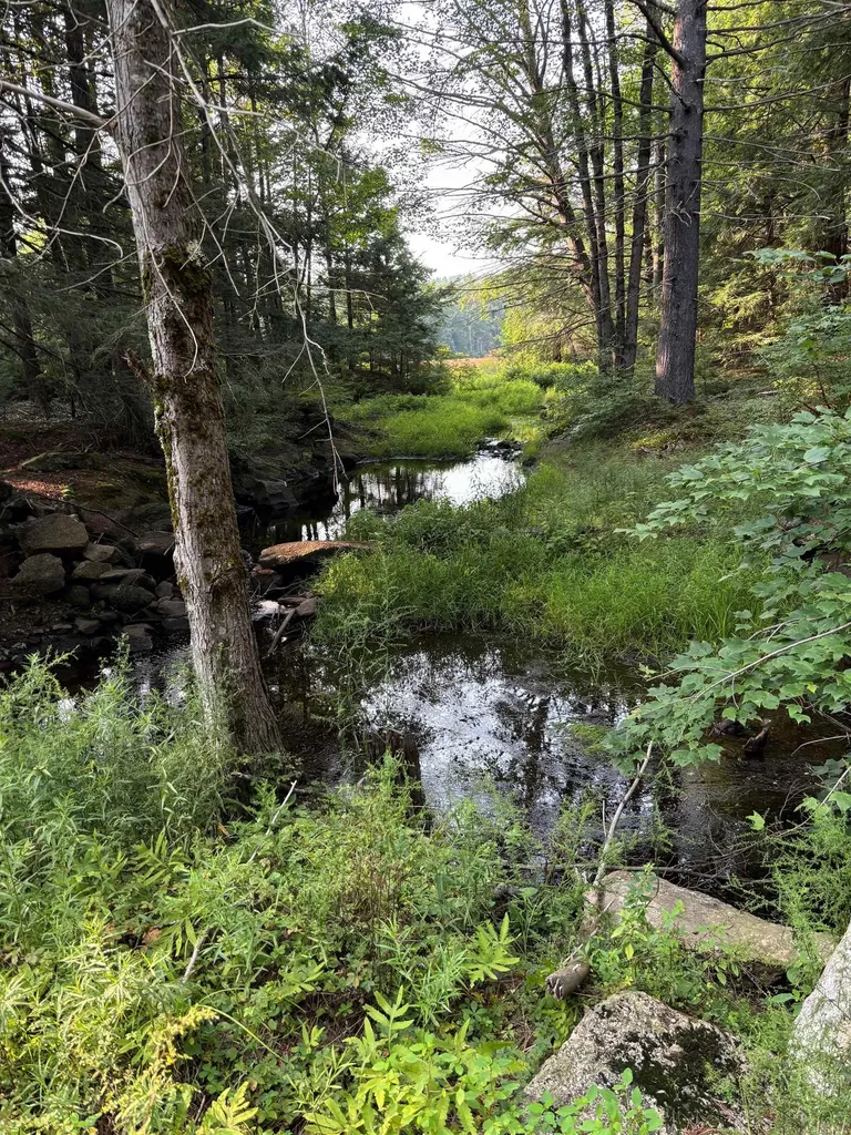 0 Access Road Chesterfield NH 03443