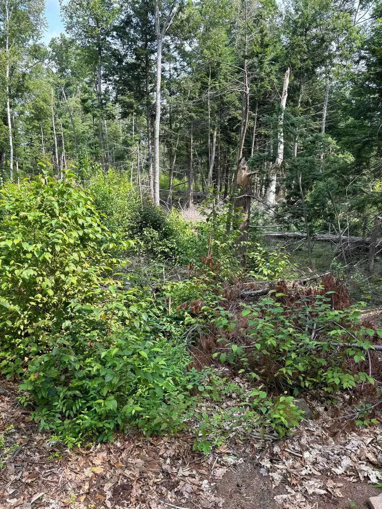 0 Access Road Chesterfield NH 03443