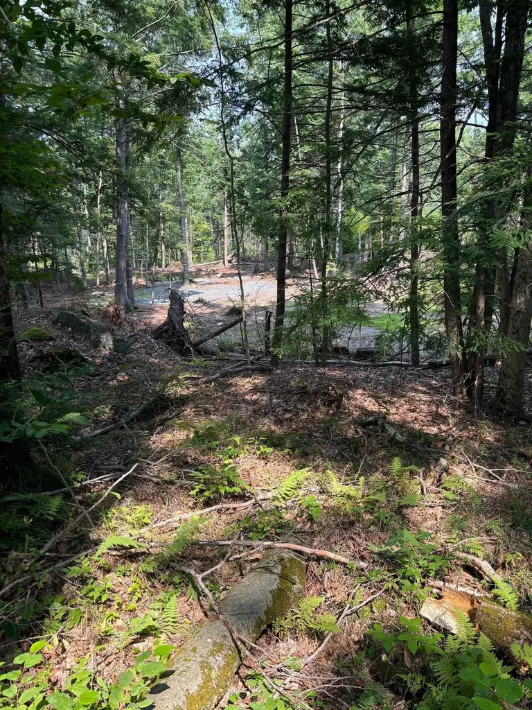 0 Access Road Chesterfield NH 03443