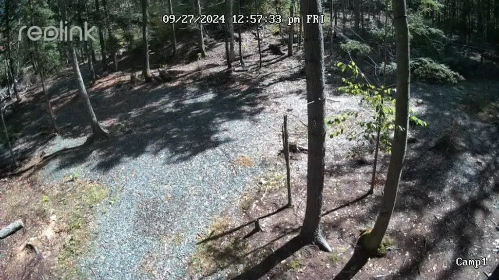 0 Access Road Chesterfield NH 03443