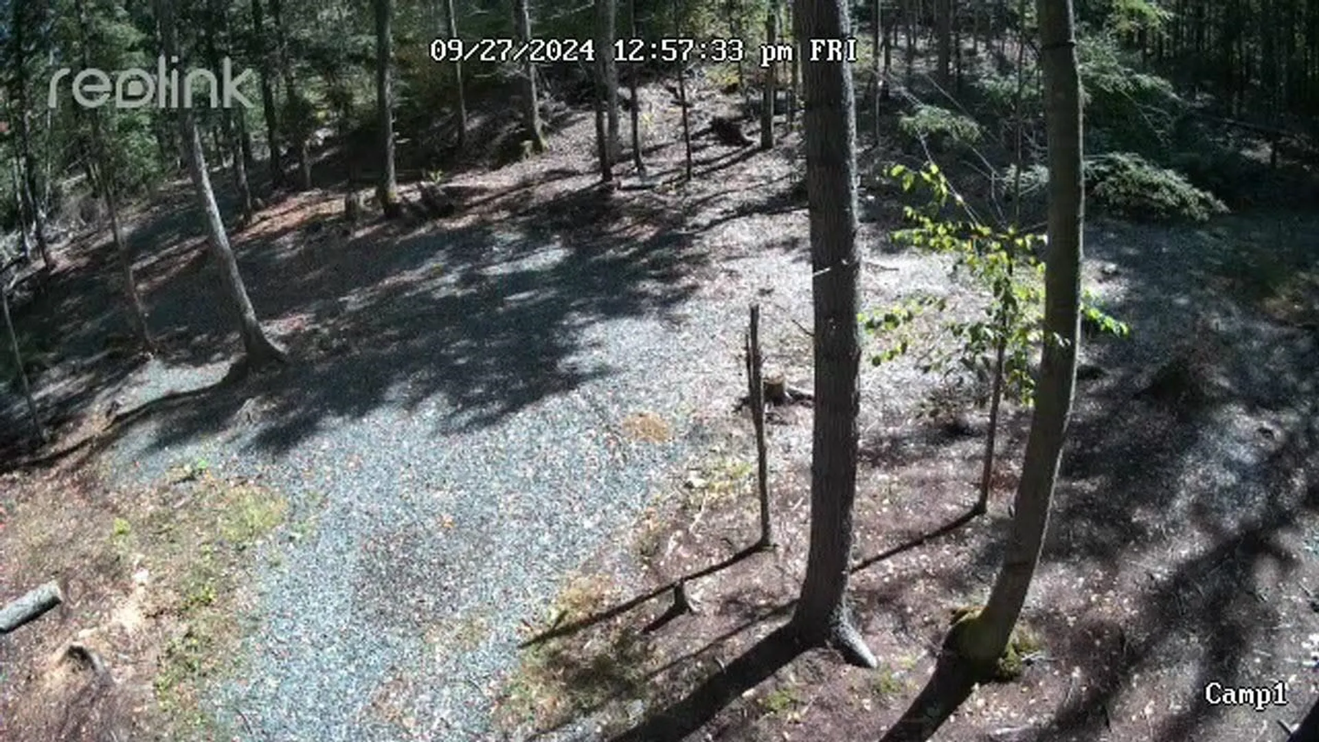 0 Access Road Chesterfield NH 03443