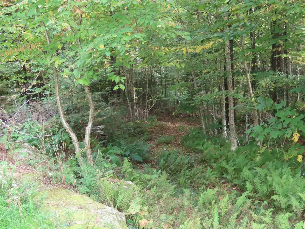 250 Magee Road Stamford VT 05352