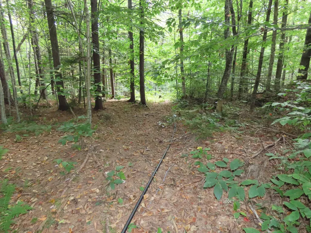 250 Magee Road Stamford VT 05352