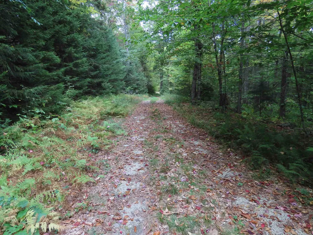 250 Magee Road Stamford VT 05352