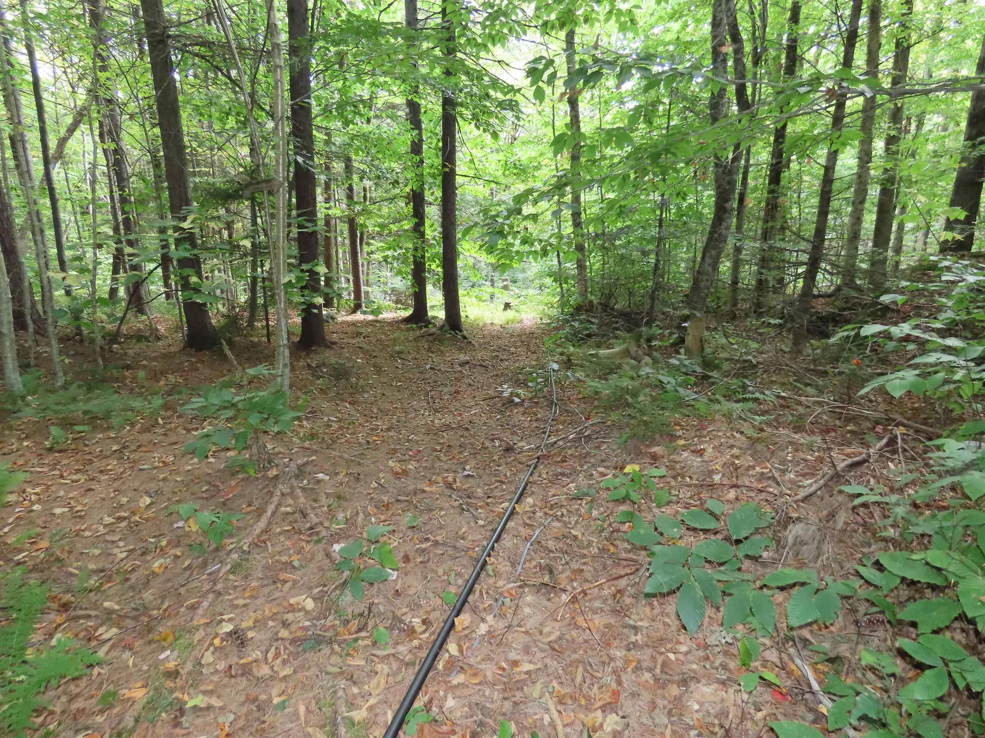 250 Magee Road Stamford VT 05352