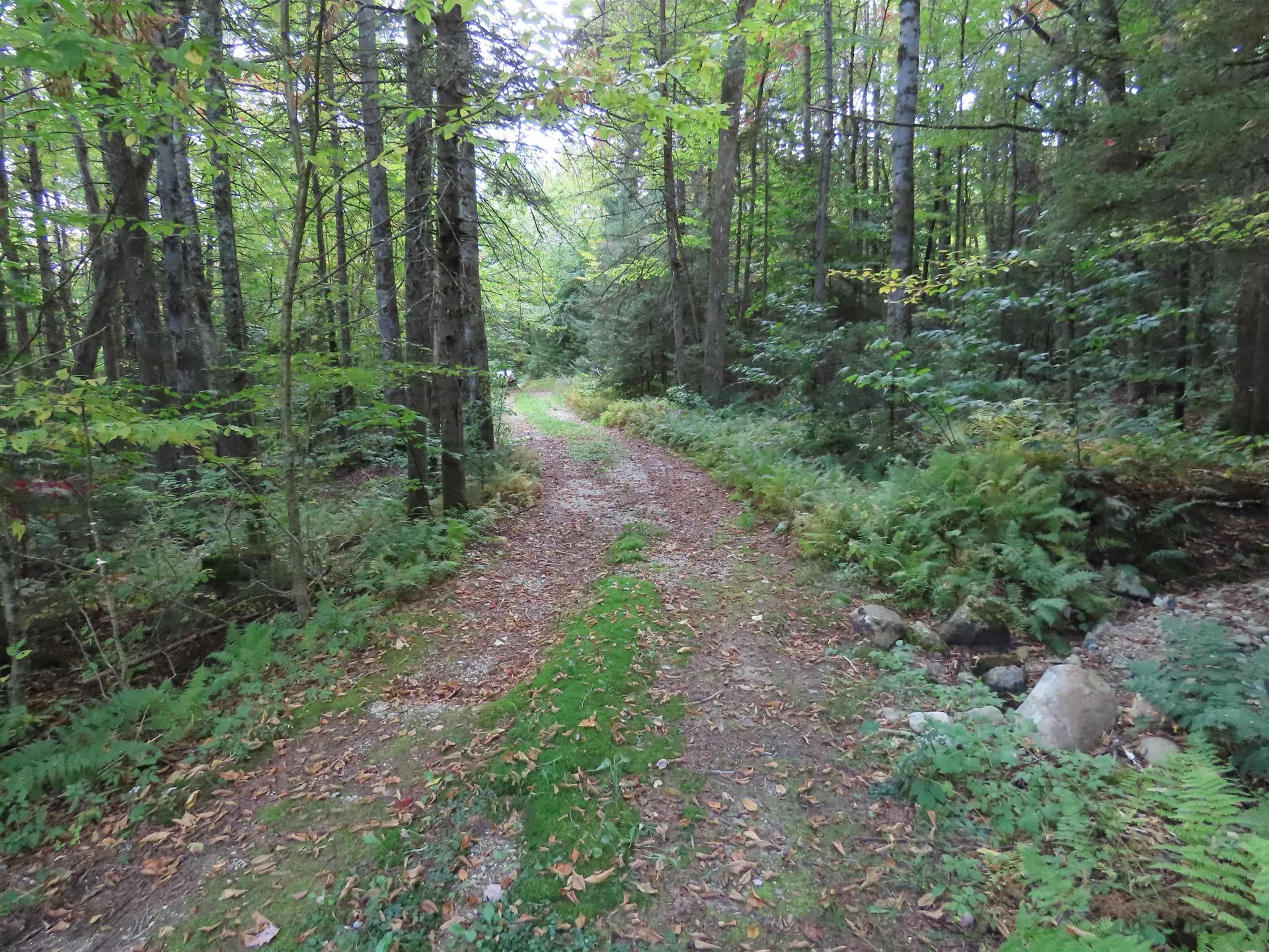 250 Magee Road Stamford VT 05352