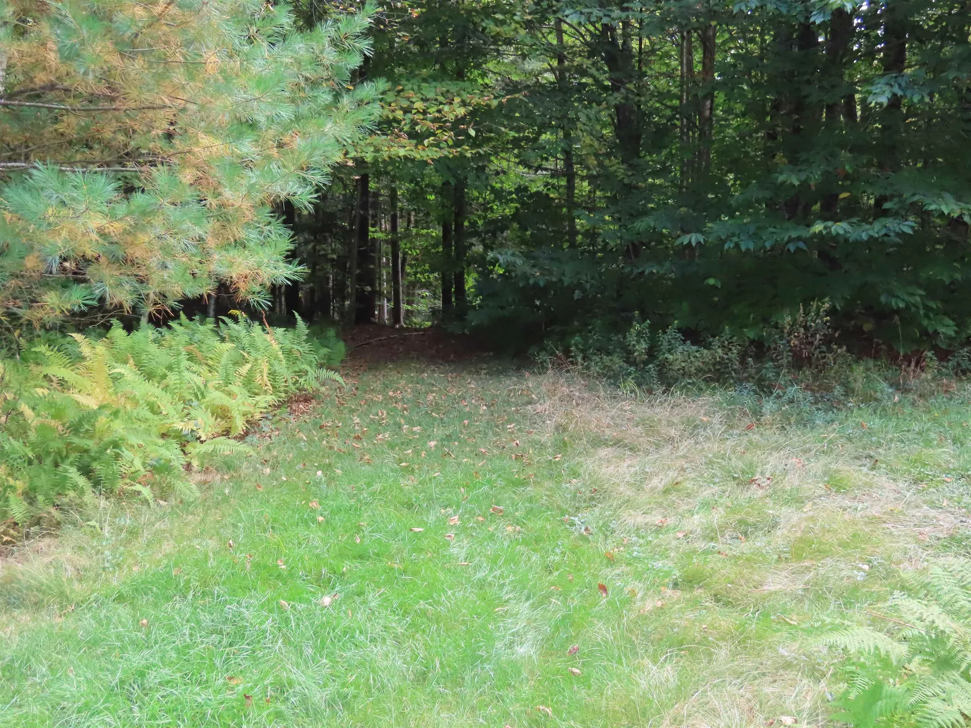 250 Magee Road Stamford VT 05352