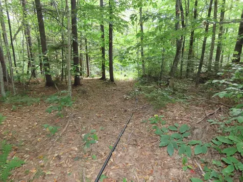 250 Magee Road Stamford VT 05352