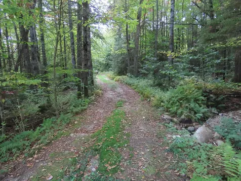 250 Magee Road Stamford VT 05352