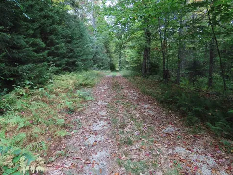 250 Magee Road Stamford VT 05352