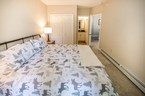 42 Harrison Lane Ludlow VT 05149