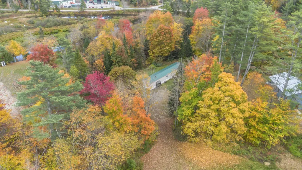 38 Pine Tree Hill Londonderry VT 05148