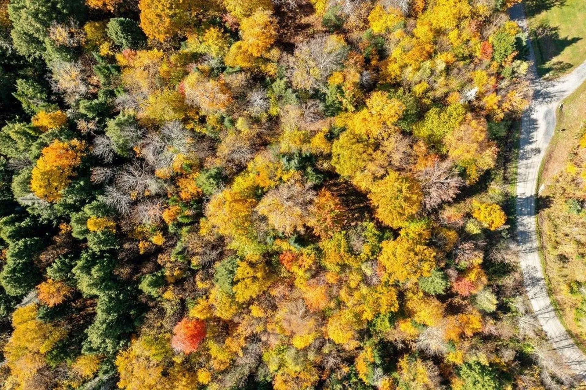 Tbd Mountain Estates Drive Hyde Park VT 05655