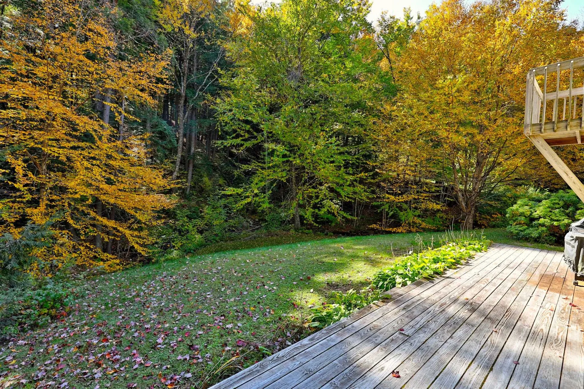 91 Arnold Mountain Road Stockbridge VT 05772