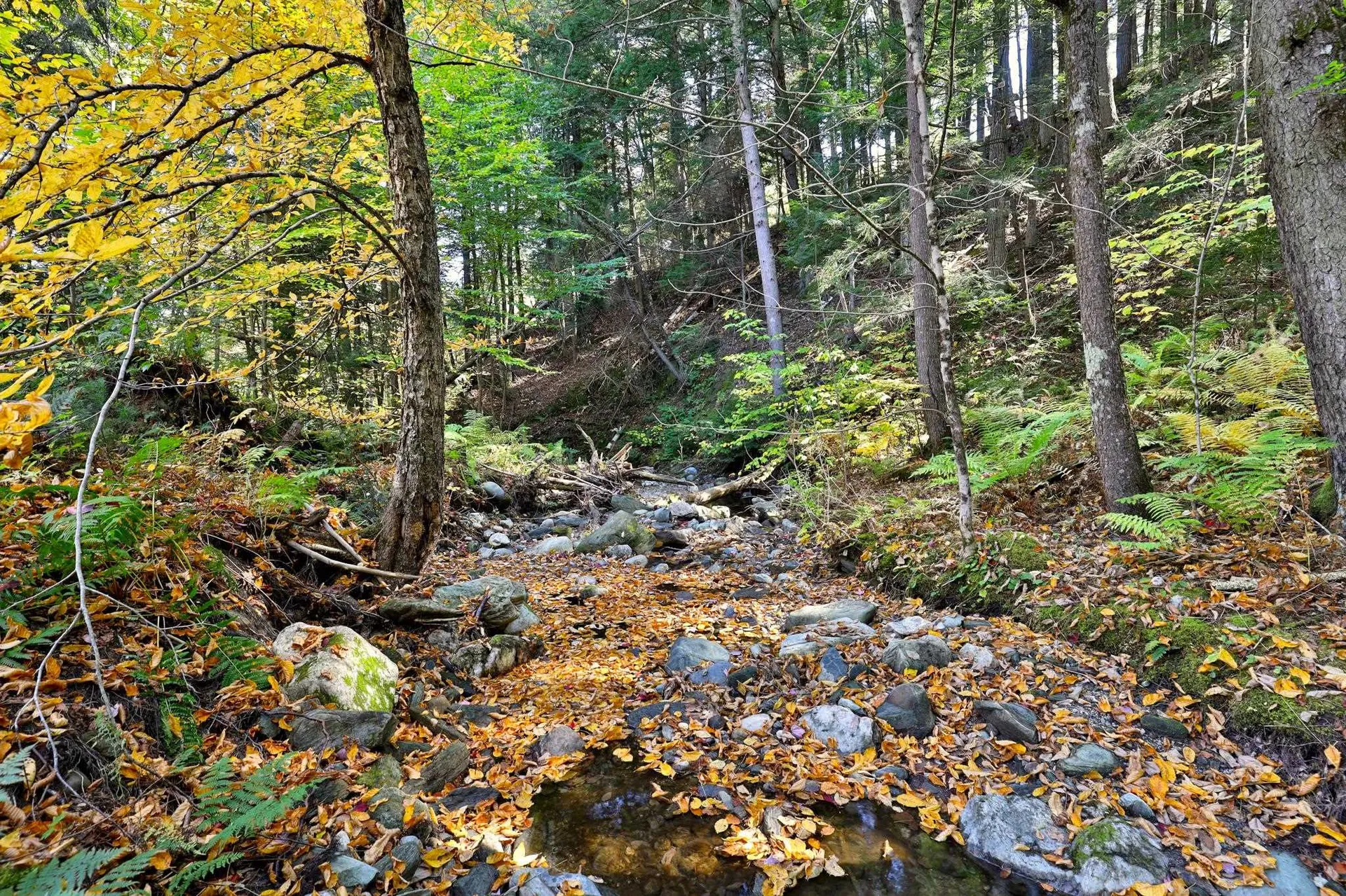 91 Arnold Mountain Road Stockbridge VT 05772