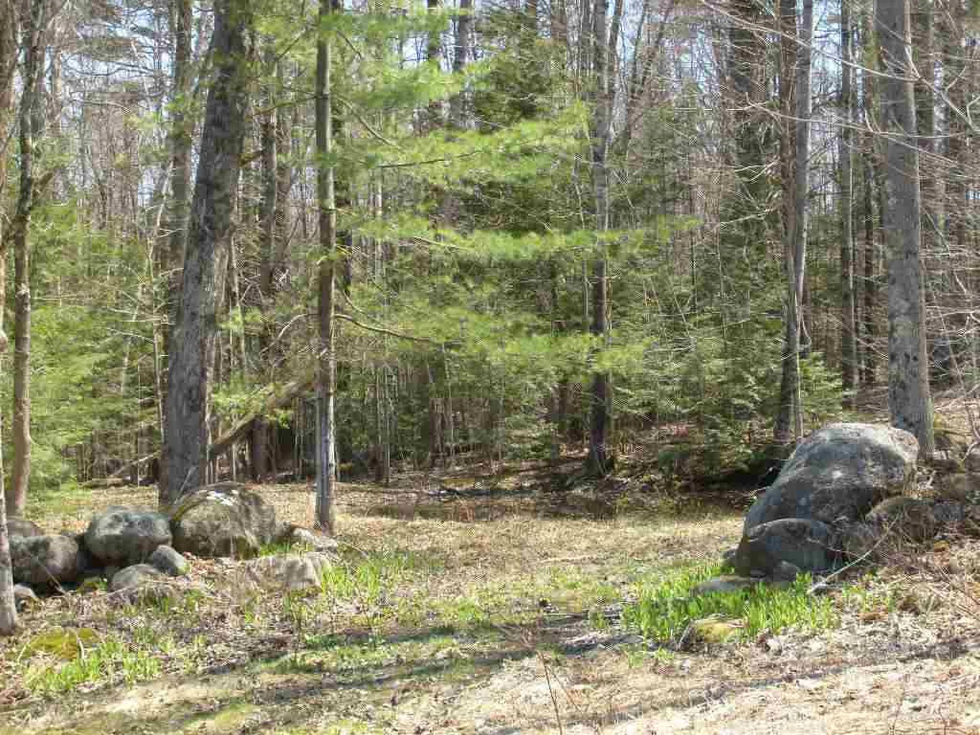 55+ Spokesfield Road Campton NH 03223