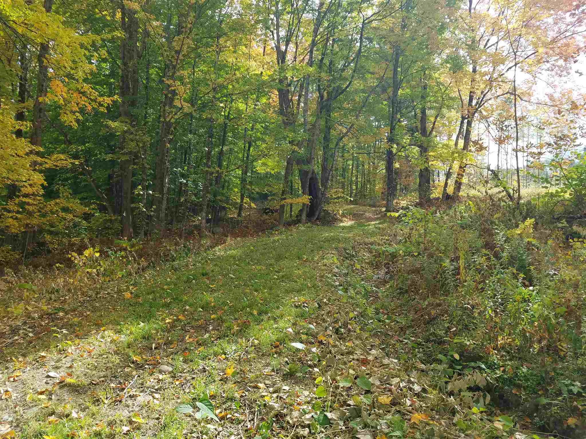 55+ Spokesfield Road Campton NH 03223