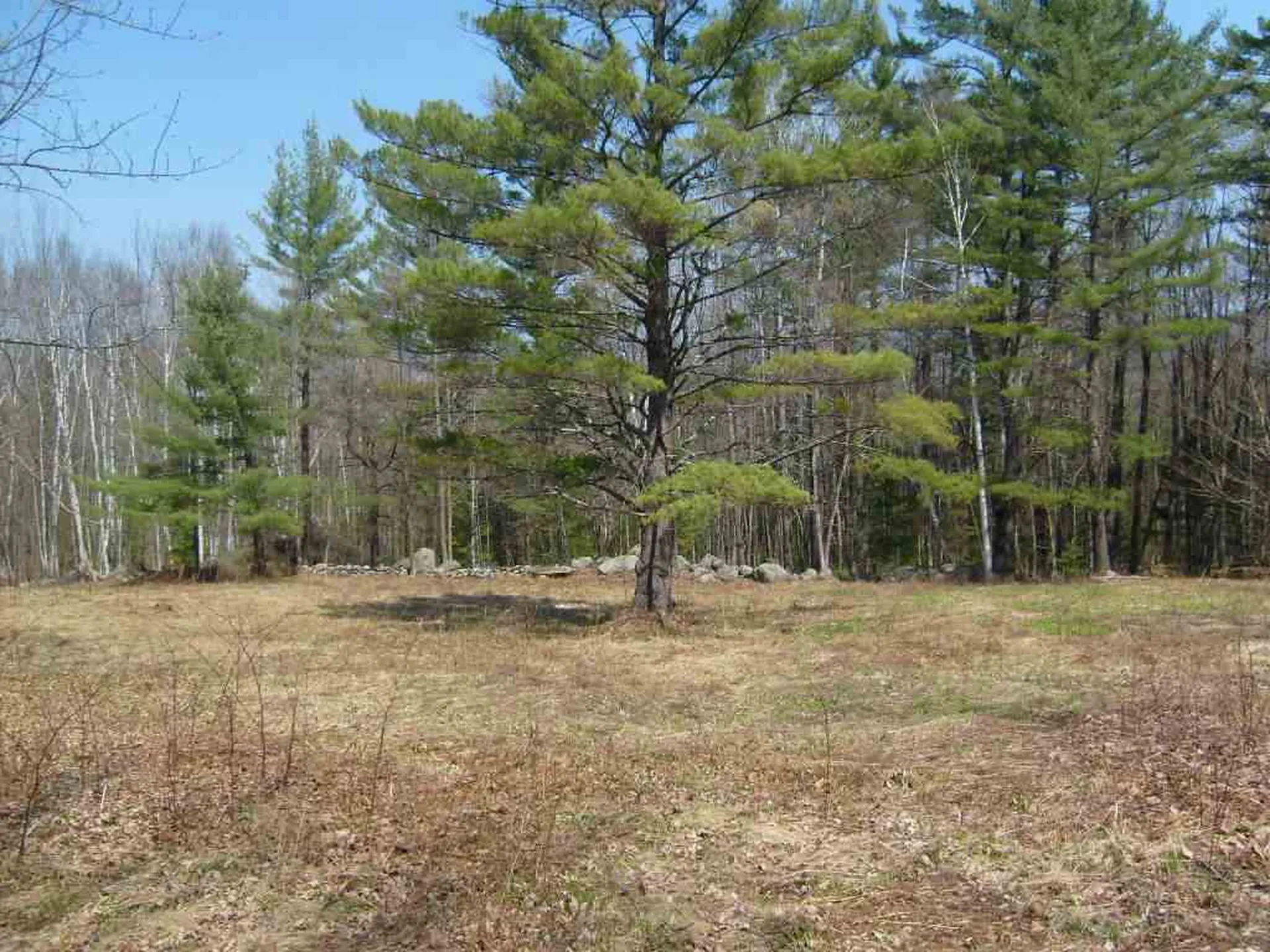 55+ Spokesfield Road Campton NH 03223