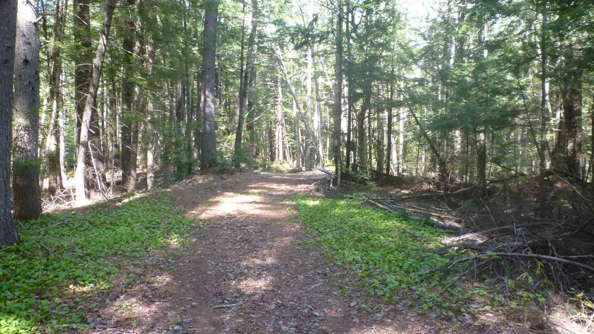 55+ Spokesfield Road Campton NH 03223