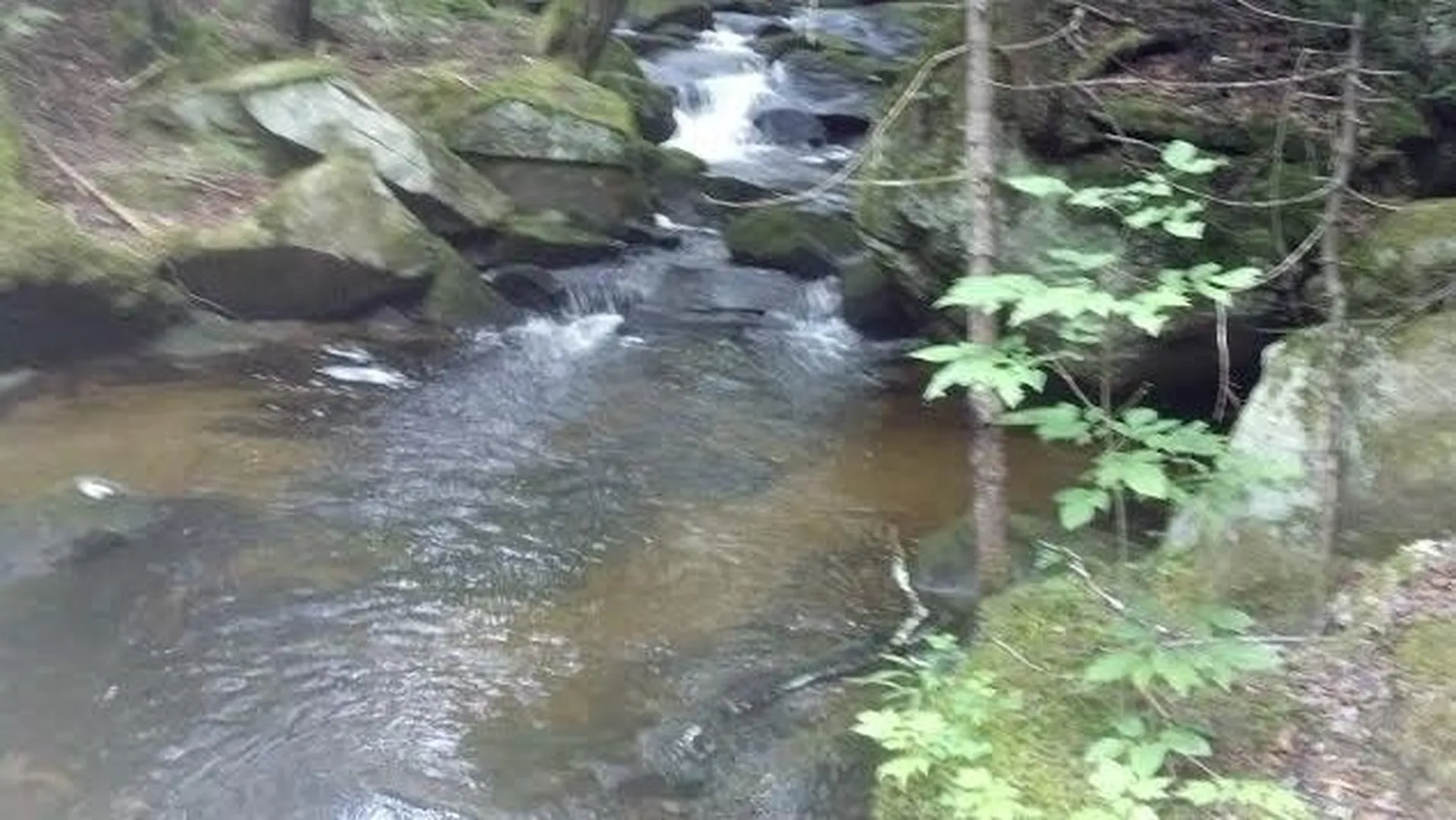 55+ Spokesfield Road Campton NH 03223