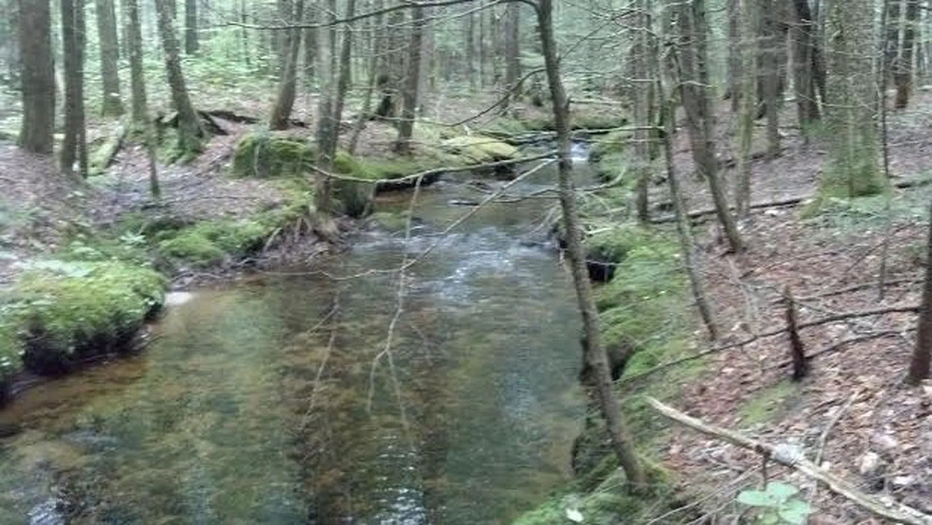 55+ Spokesfield Road Campton NH 03223