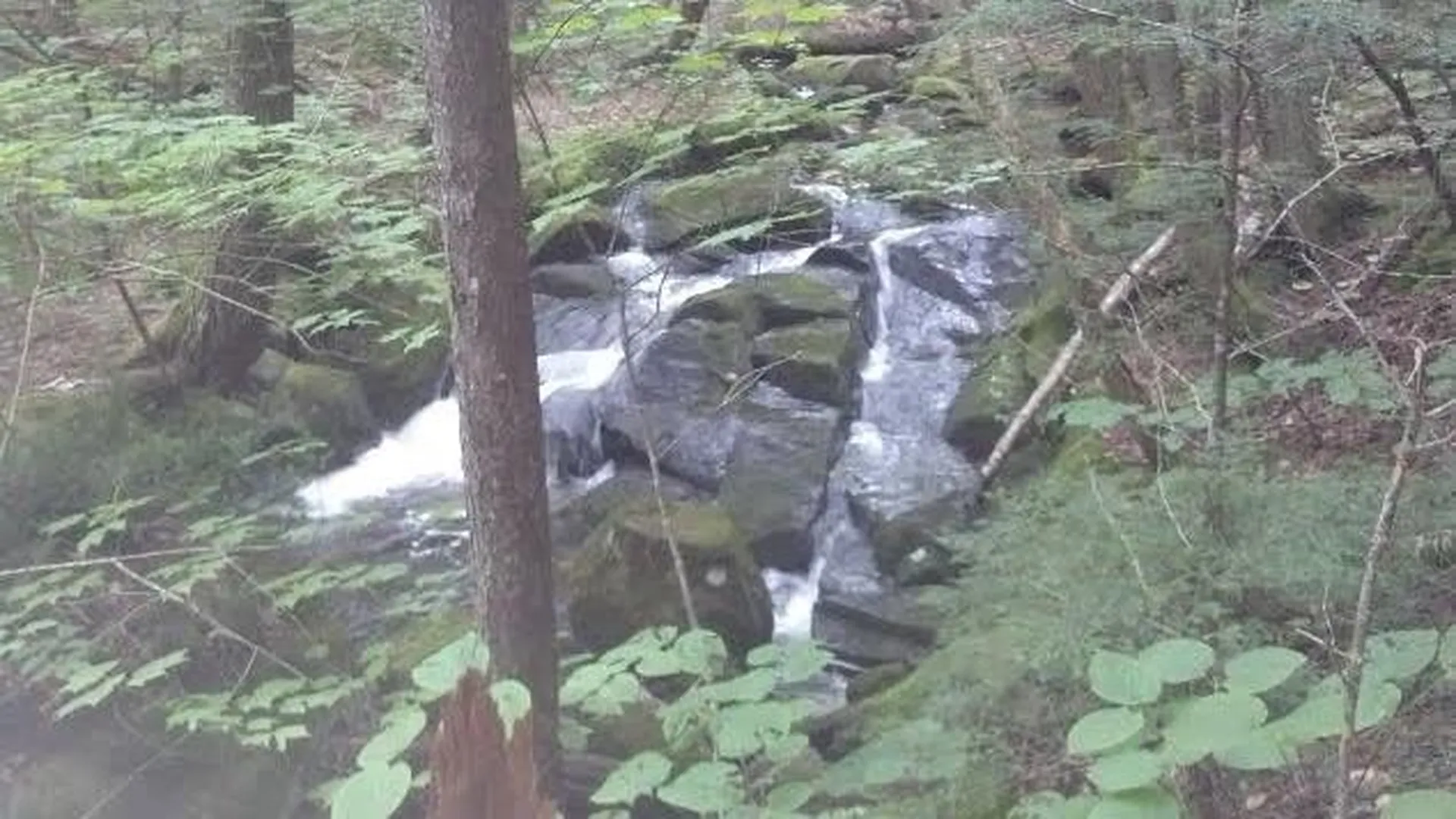 55+ Spokesfield Road Campton NH 03223