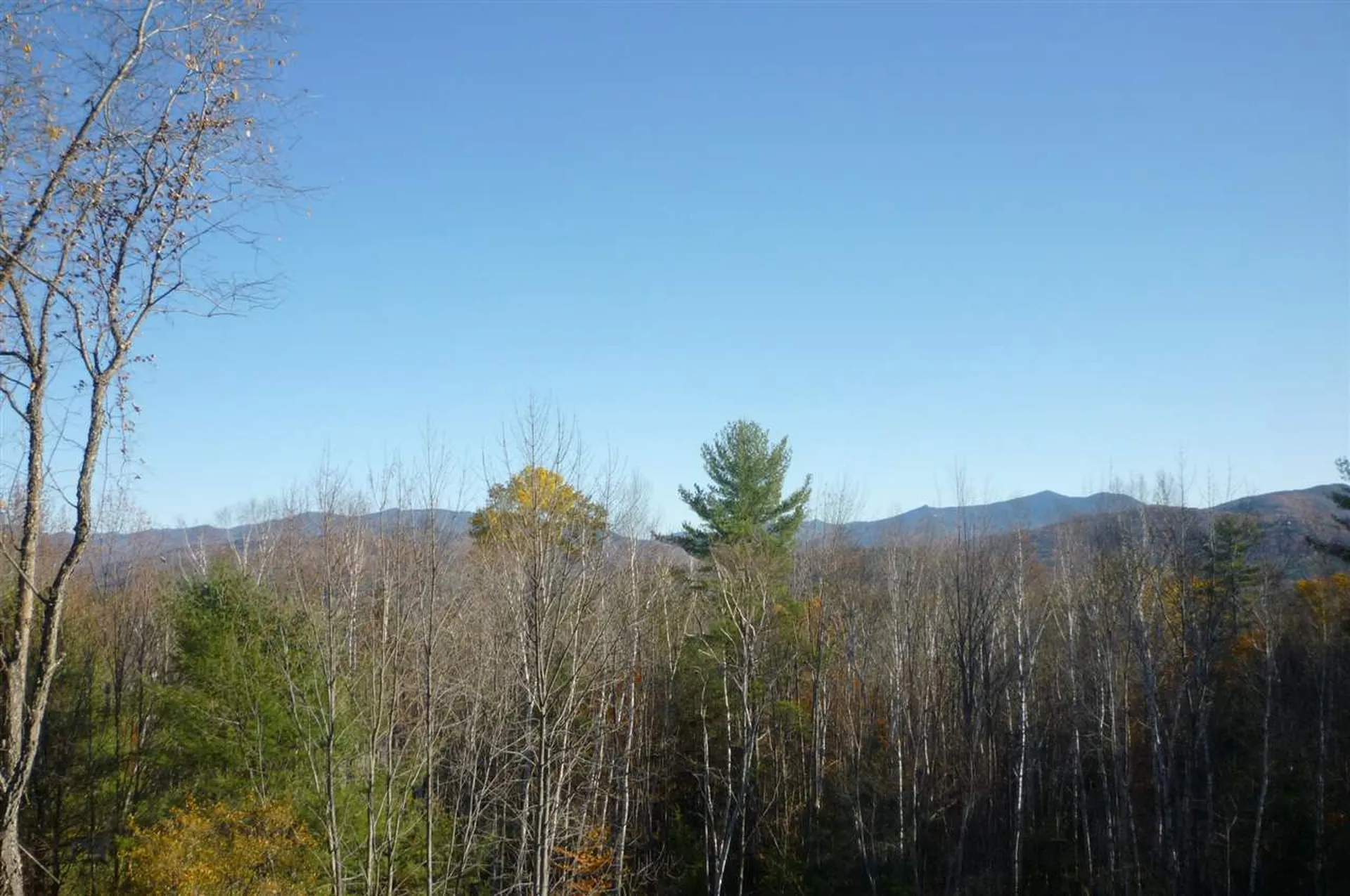 55+ Spokesfield Road Campton NH 03223