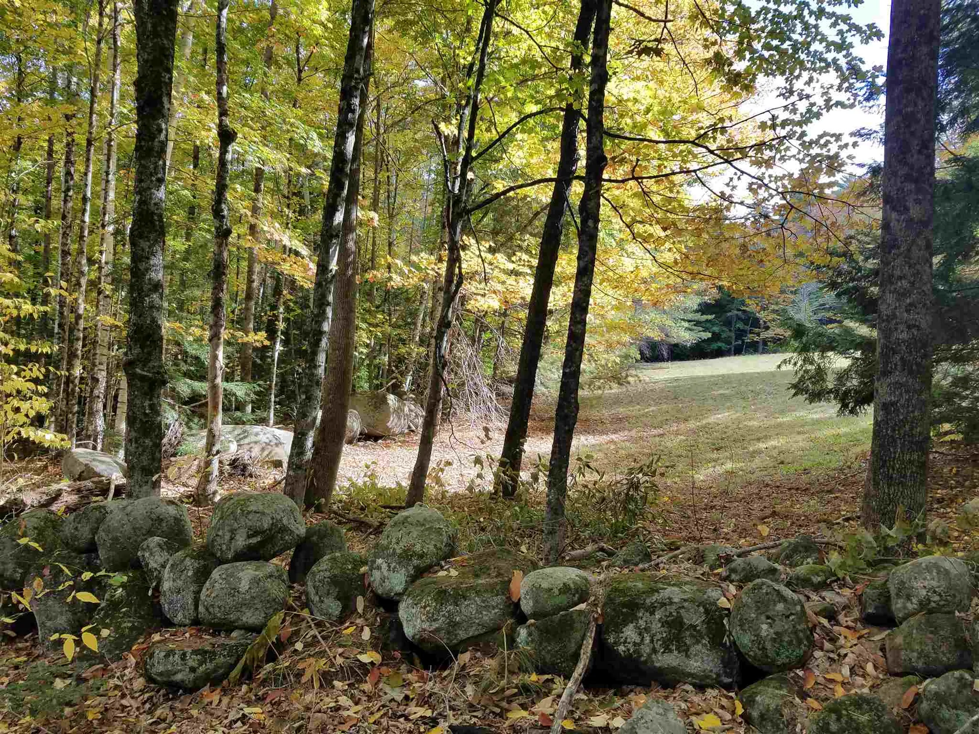 55+ Spokesfield Road Campton NH 03223