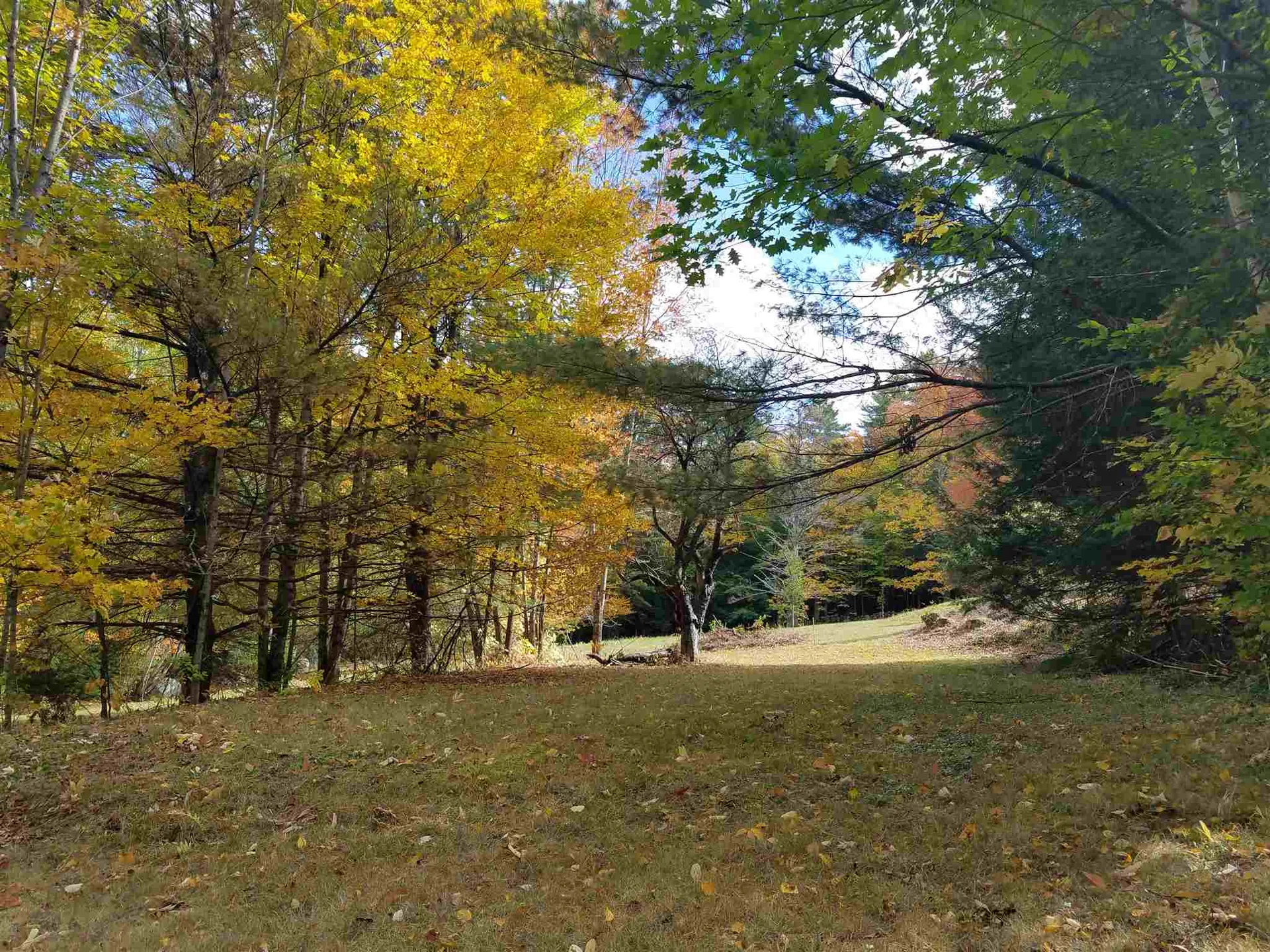 55+ Spokesfield Road Campton NH 03223