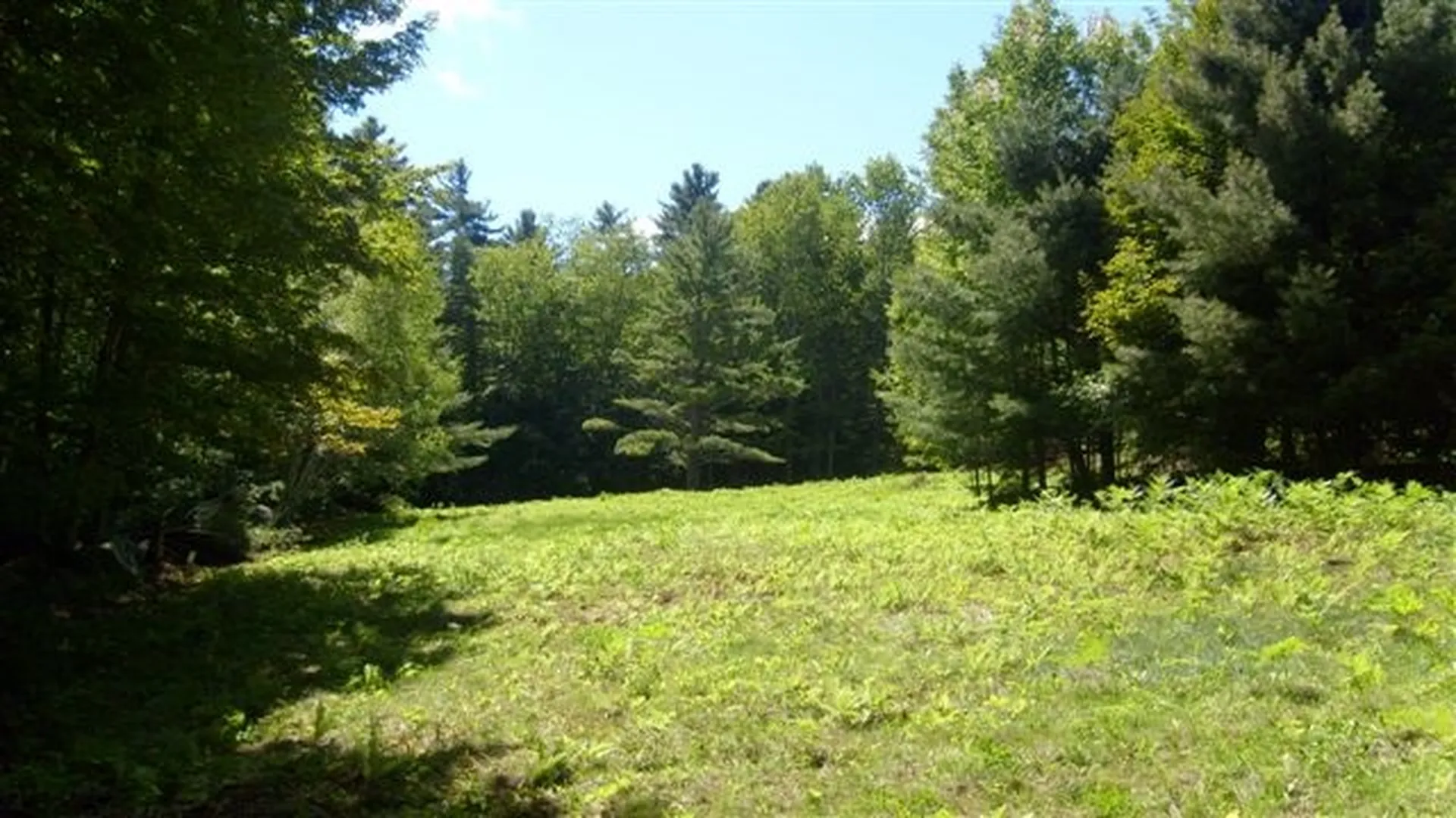 55+ Spokesfield Road Campton NH 03223