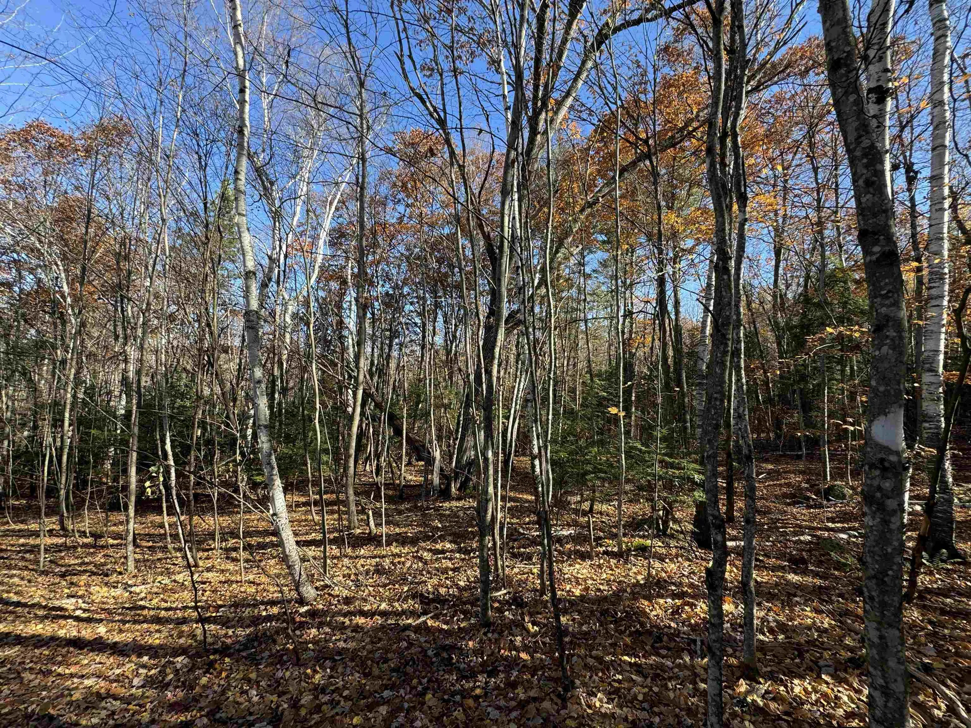 00 Skiway Drive Haverhill NH 03785