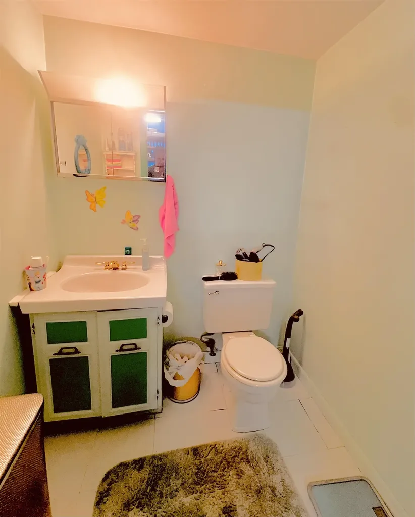 4 Berry Avenue Pittsfield NH 03263