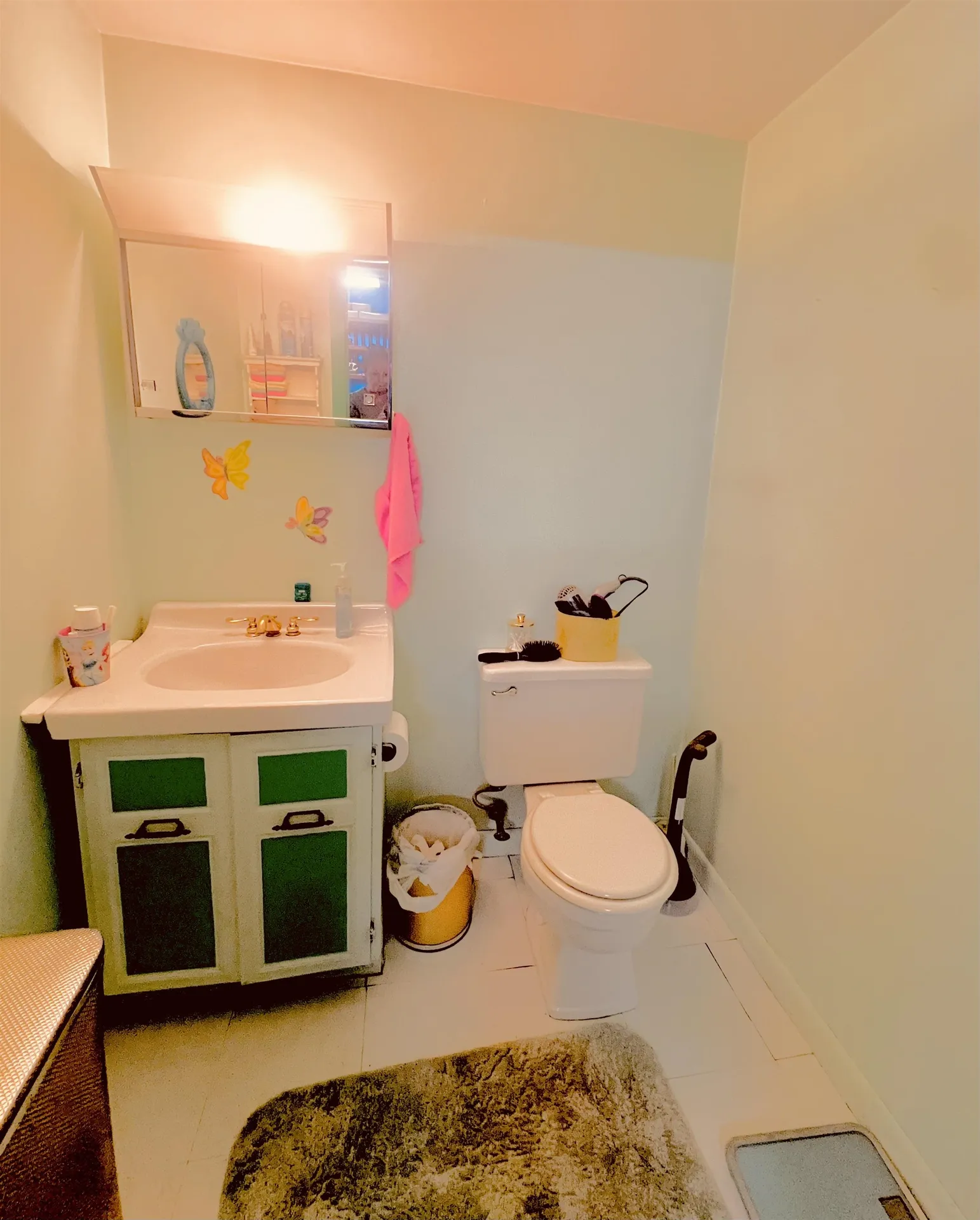 4 Berry Avenue Pittsfield NH 03263