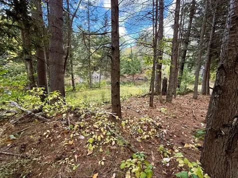 690 Little Ascutney Road Weathersfield VT 05151