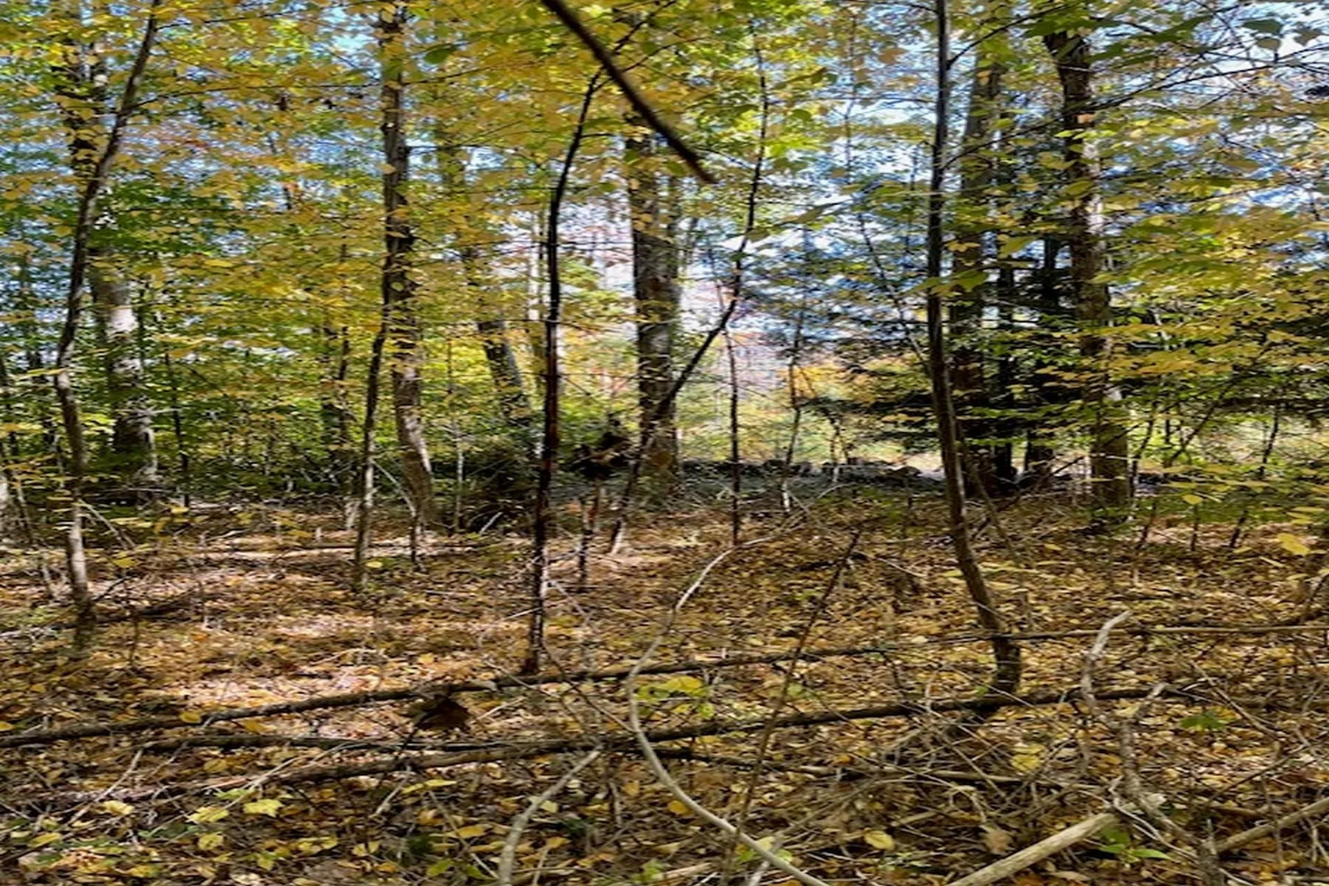 00 Route 123 Sharon NH 03458