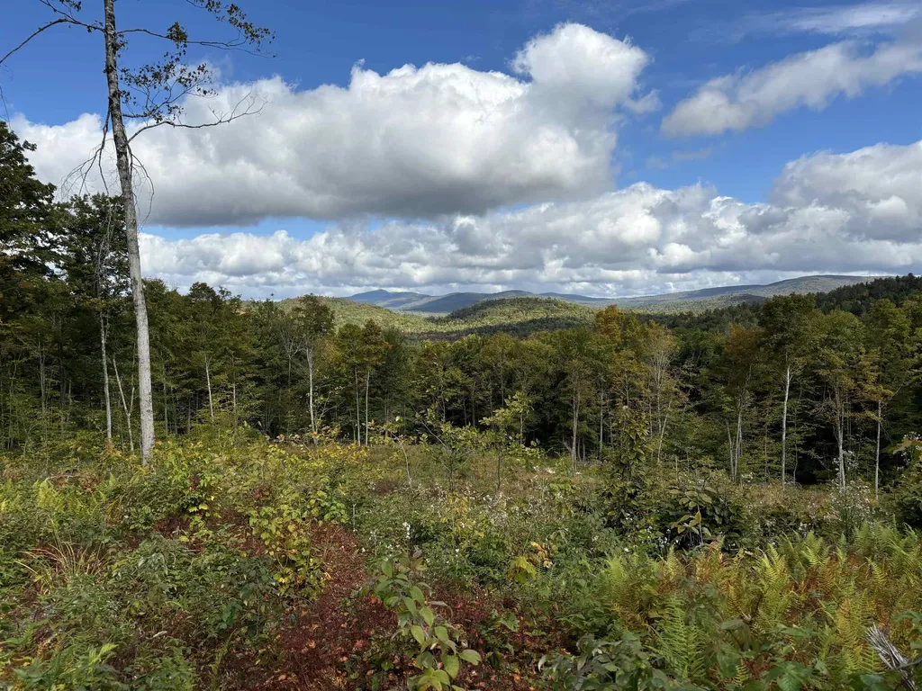 0 Danbury Woods Road Danbury NH 03230