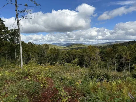 0 Danbury Woods Road Danbury NH 03230