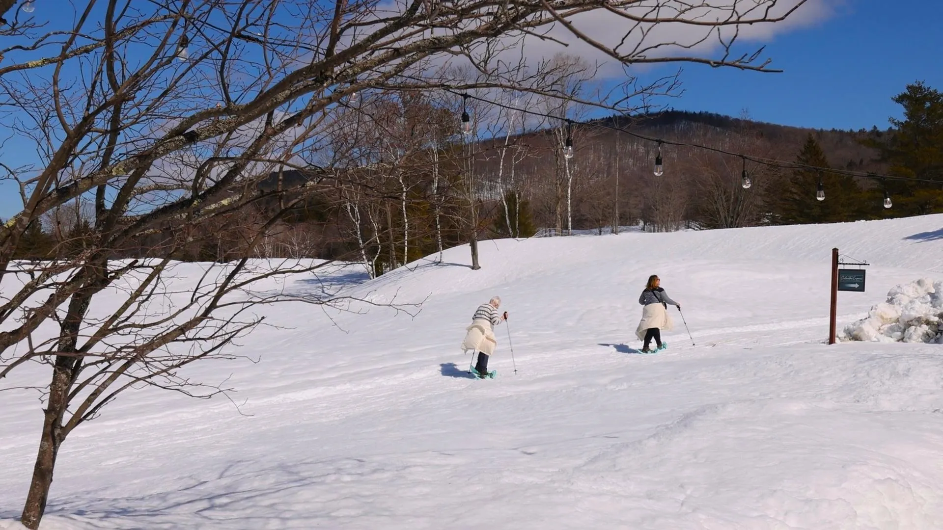 820/822 Qtr. I I Adams House Ludlow VT 05149