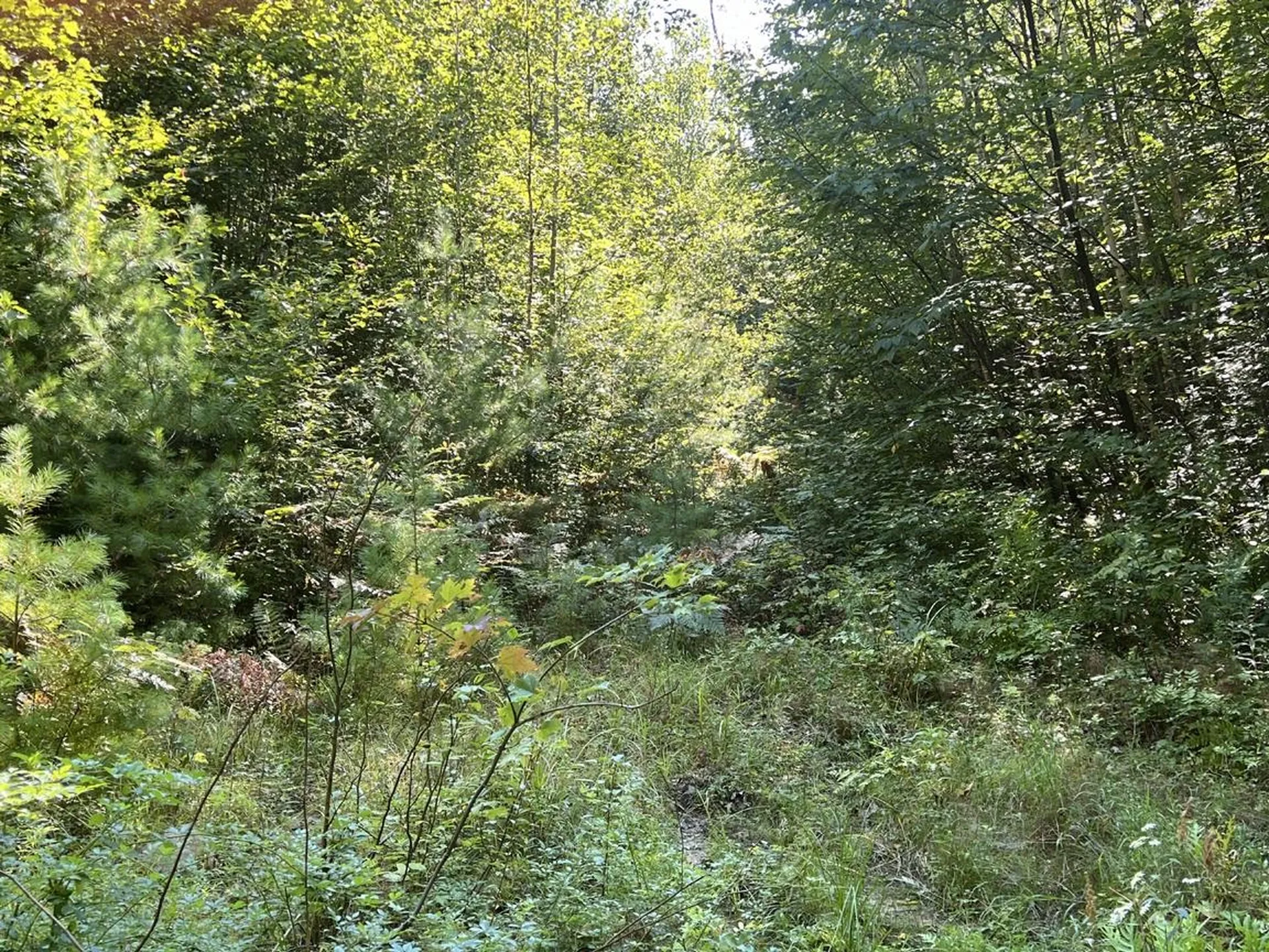 Pike Hill Road Plymouth NH 03264