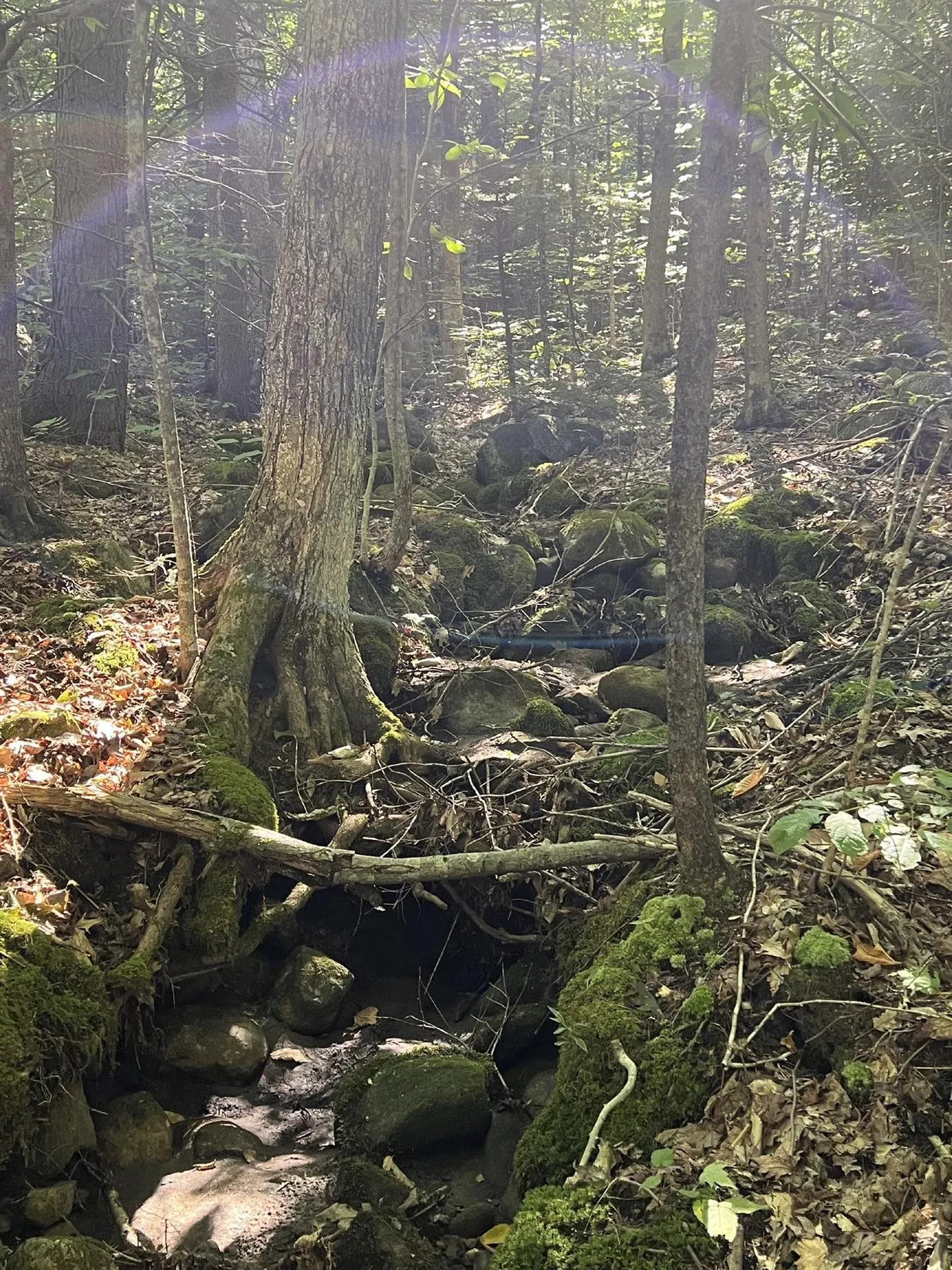 Pike Hill Road Plymouth NH 03264