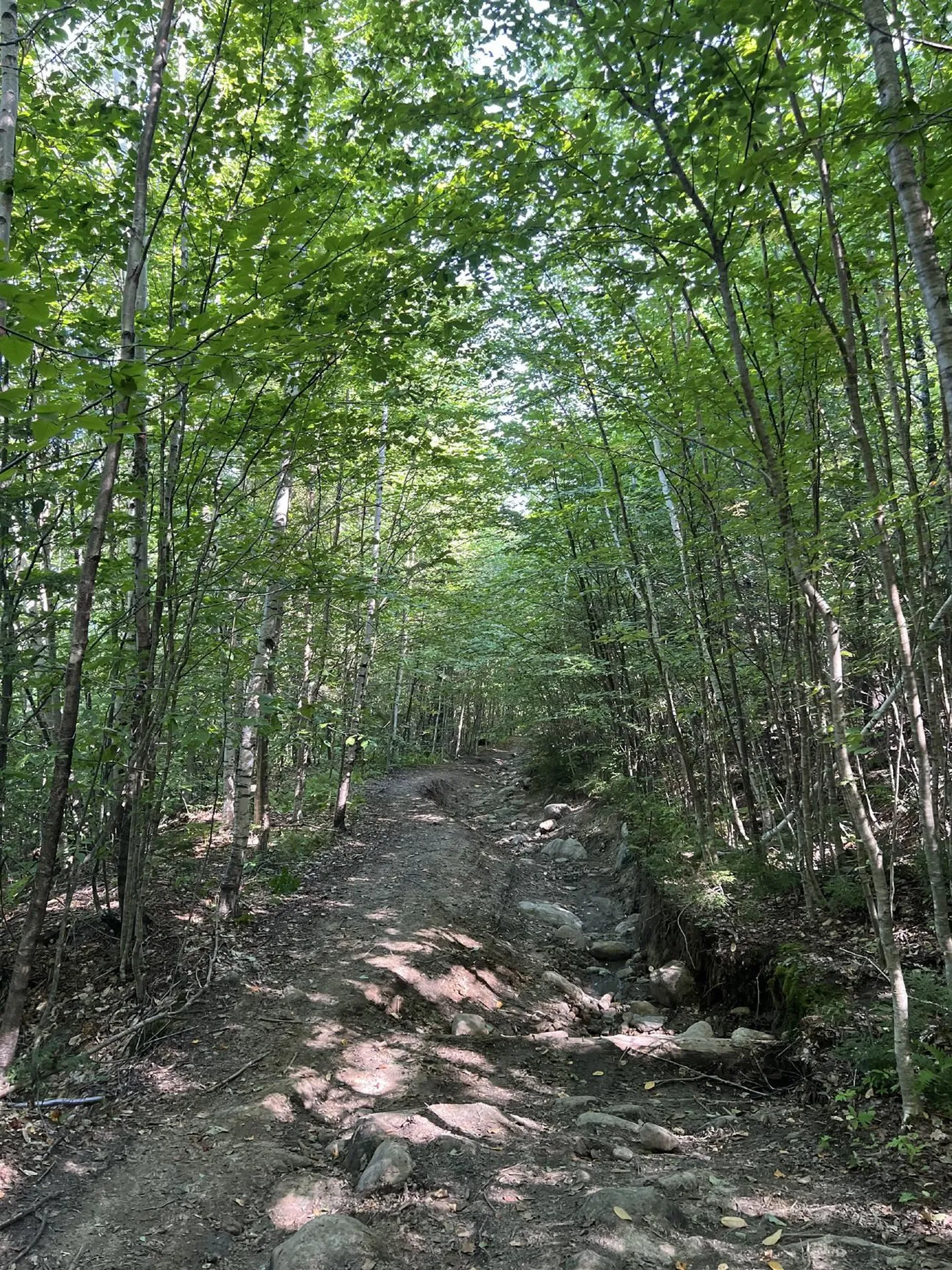 Pike Hill Road Plymouth NH 03264