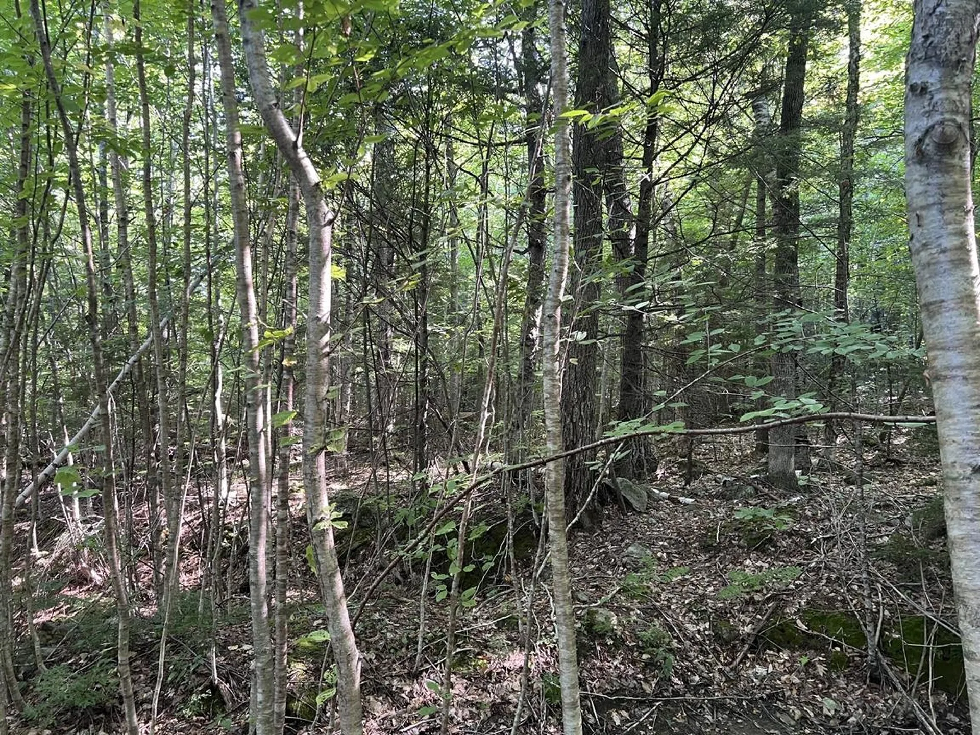 Pike Hill Road Plymouth NH 03264