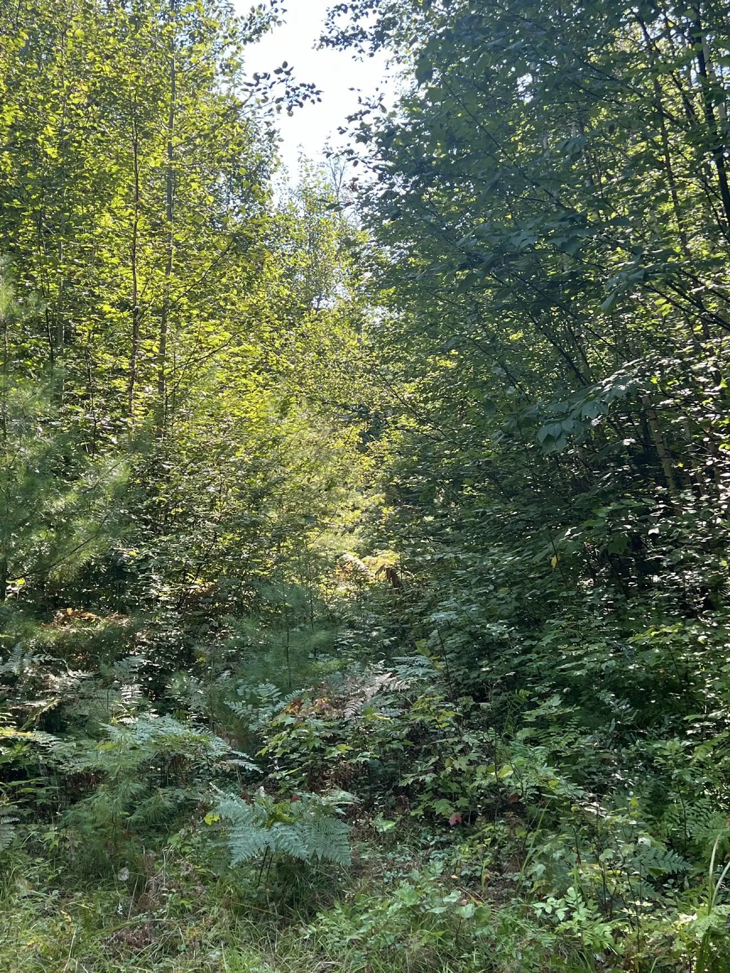 Pike Hill Road Plymouth NH 03264